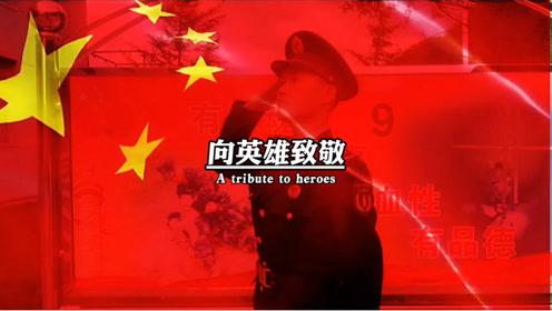 植物大战僵尸17